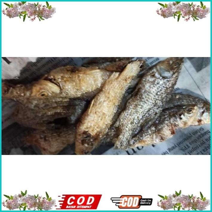 

BISMILLAH IKAN WADER CRISPY 1 KG (TANPA TEPUNG) ALISUP