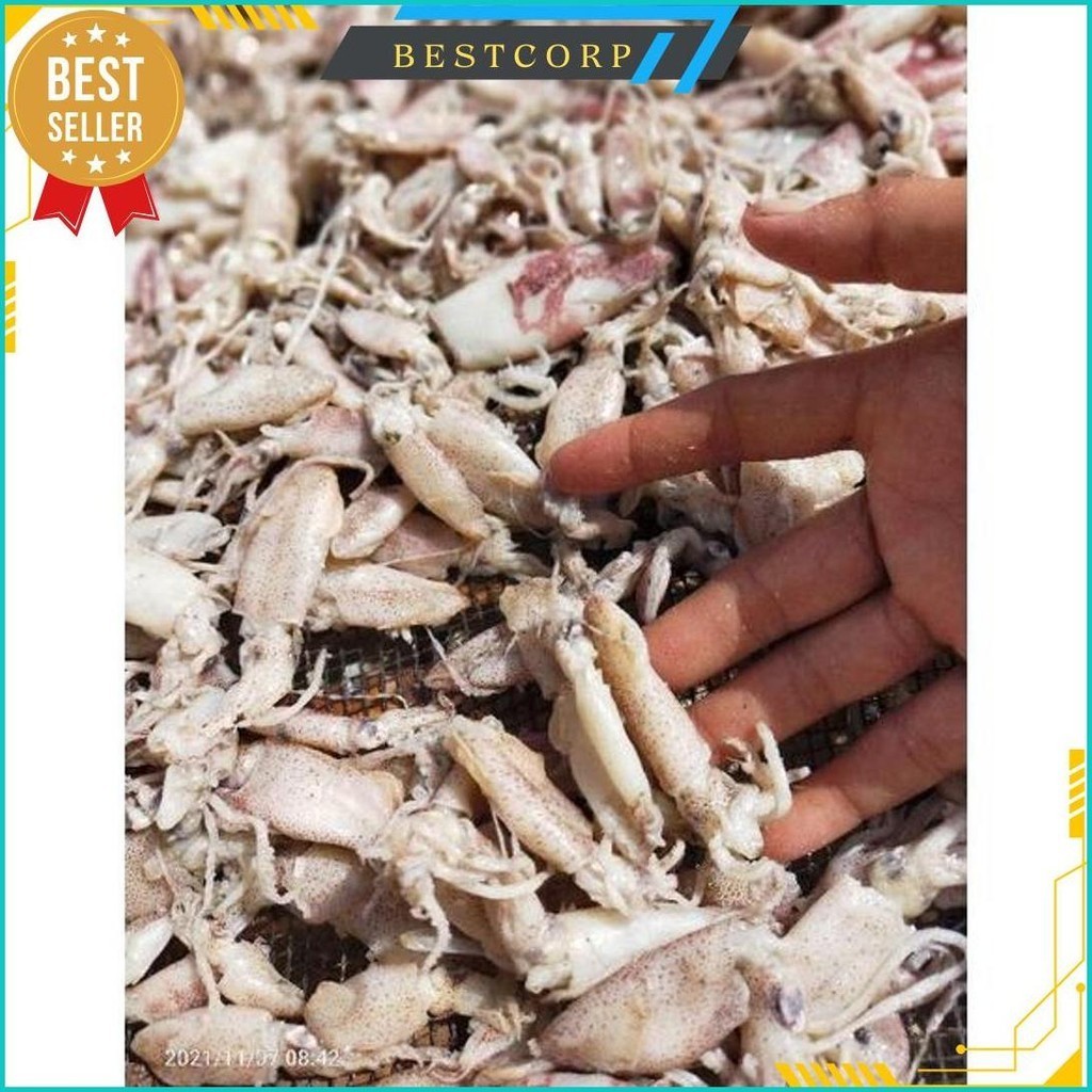 

Baby Cumi 500G Bisa Cod