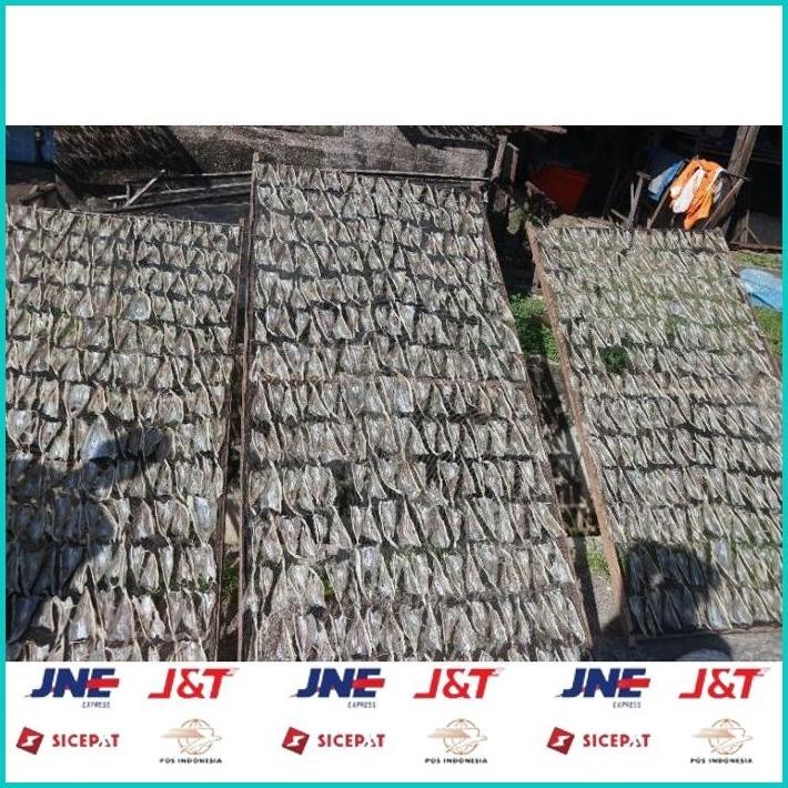 

BISMILLAH IKAN ASIN TIPIS TARAKAN 1KG TERMURAH ALISUP