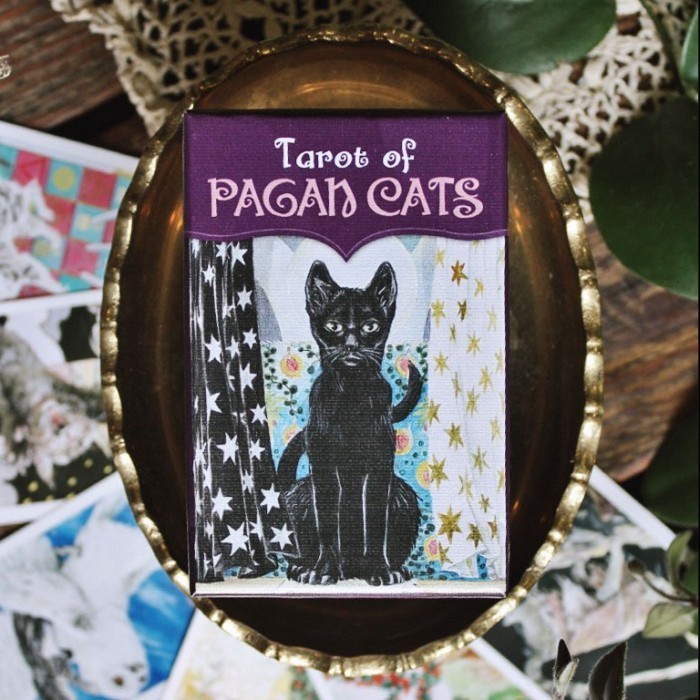 Terbaru Tarot Of Pagan Cats Mini Mini Tarot Deck Ready Stok Promo Permainan Kartu