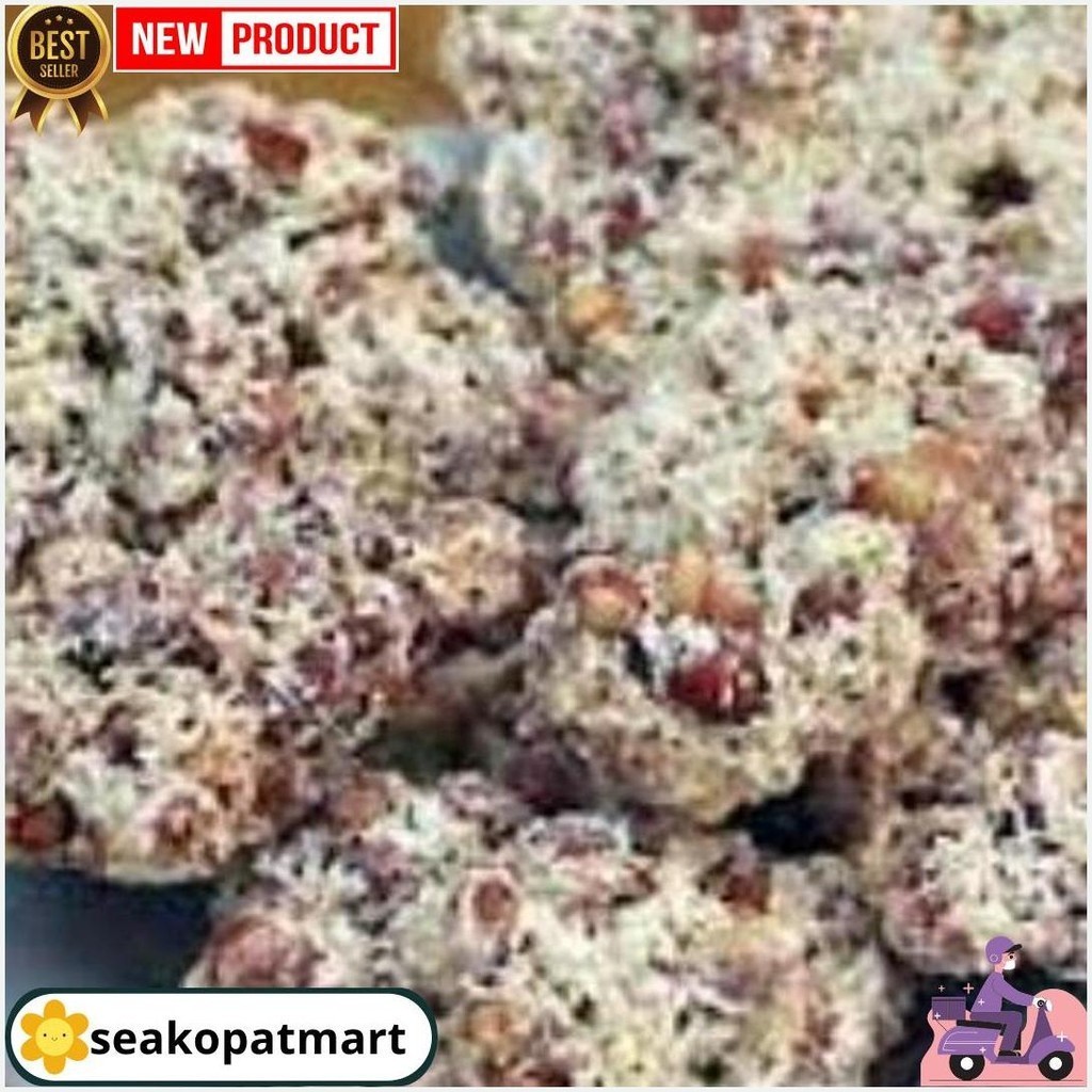 

Peyek Mbok Tumpuk Bantul Yogyakarta || Makanan Unik || Oleh Oleh Kas Jogja || 500 Gr Bisa Cod