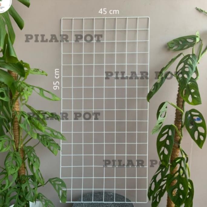 Ram Besi Putih Pot Bunga Gantung Gantungan Pot Argo - Ram Besi 45 X 95