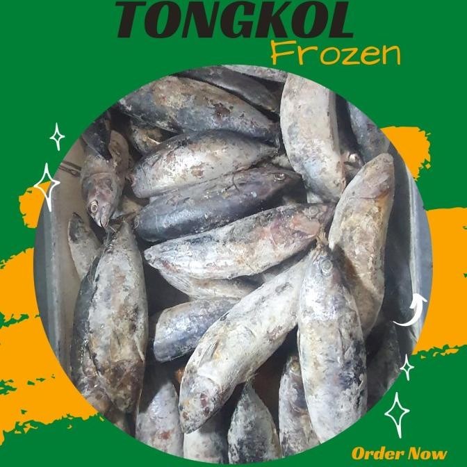 

IKAN TONGKOL SEGAR / TONGKOL FROZEN / TONGKOL BEKU 500 gr dan 1 kg - 500 gram