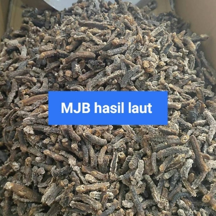 

teripang duri,teripang super,haisim,haisom,teripang mahal,,100gr A9