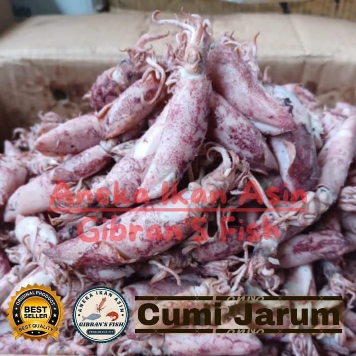 

Cumi asin jarum super A9