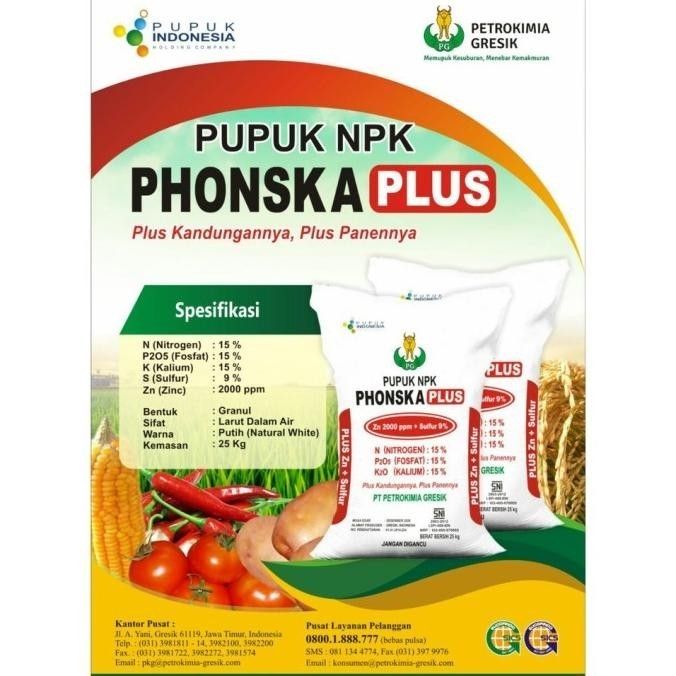 1 karung Pupuk NPK Phonska Plus 15-15-15 kemasan 25 Kg