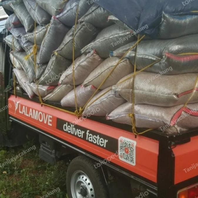 BARU SEKAM MENTAH KEMASAN KARUNG 50KG MURAH