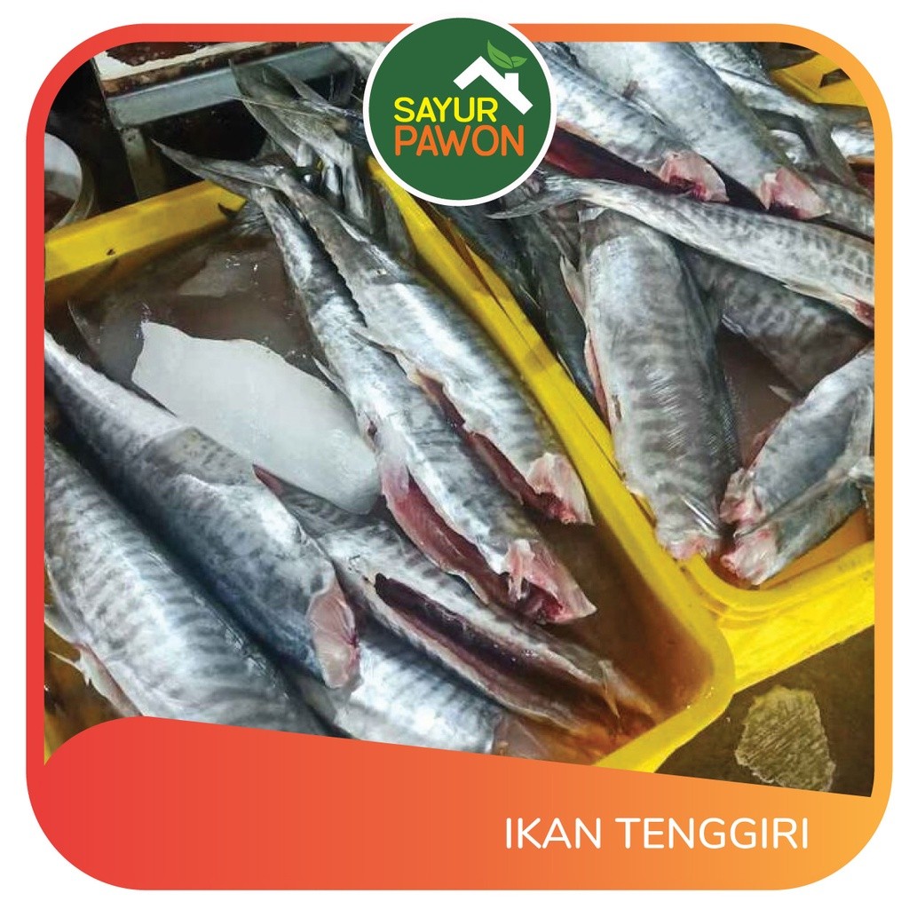 

Ikan Tenggiri / 500 gr ( produk pasar tradisional )