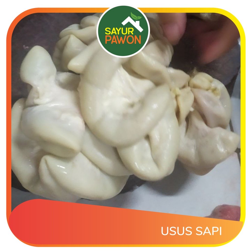 

USUS SAPI SEGAR per 500 gram