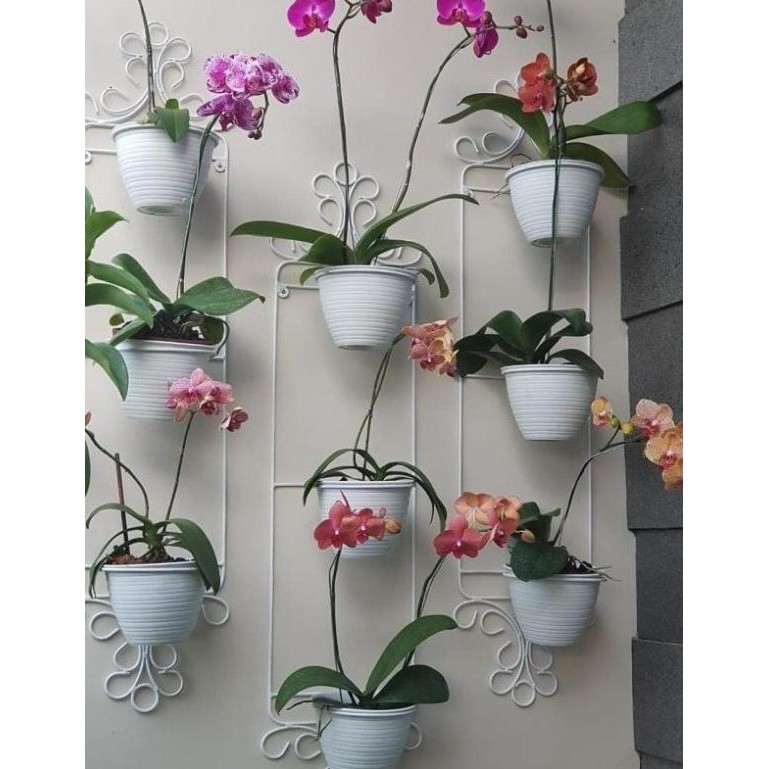 Best Price Standing Pot Dinding Anggrek / Rak Bunga Besi Tempel