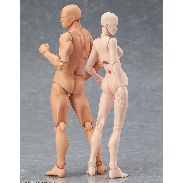 Action Figure Shf Figma Male Female Body Man Girl Archetype Model
