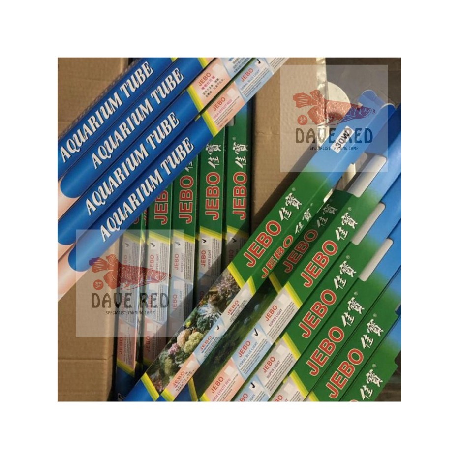Lampu Jebo 40 Watt Lampu Tanning Arwana Louhan
