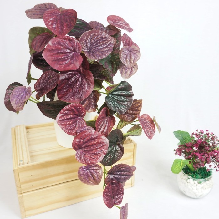 Peperomia Caperata Tanaman Gantung / Tanaman Artificial / Tanaman Hias