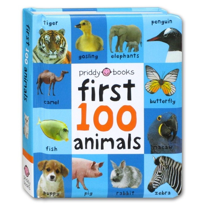 

Bana Book Of Animals Buku Anak Belajar Mengenal Nama Hewan Bahasa Inggris