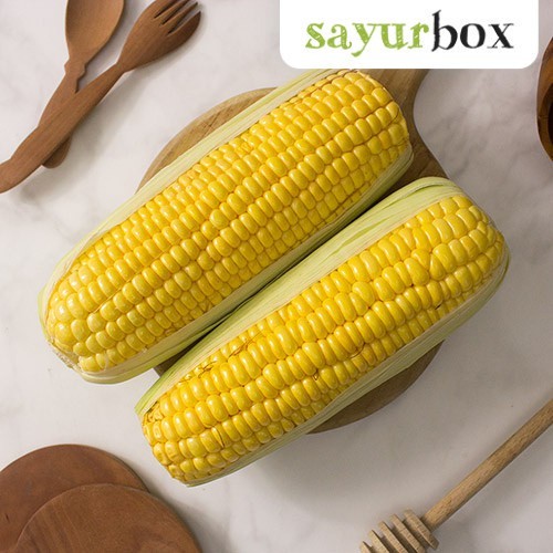 

Jagung Manis Kulit Organik Organik 500 gram Sayurbox