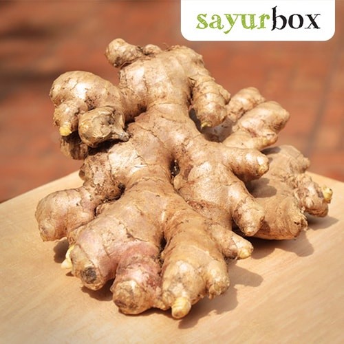 

Jahe Putih Organik Organik 200 gram Sayurbox