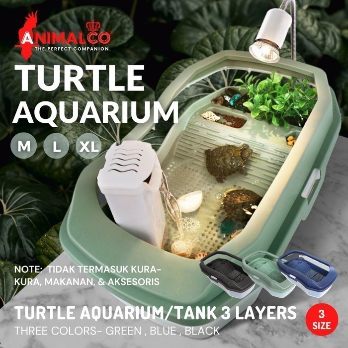 Turtle Tank Tempat Kandang Akuarium Aquarium Rumah Bak Kura Air Brazil