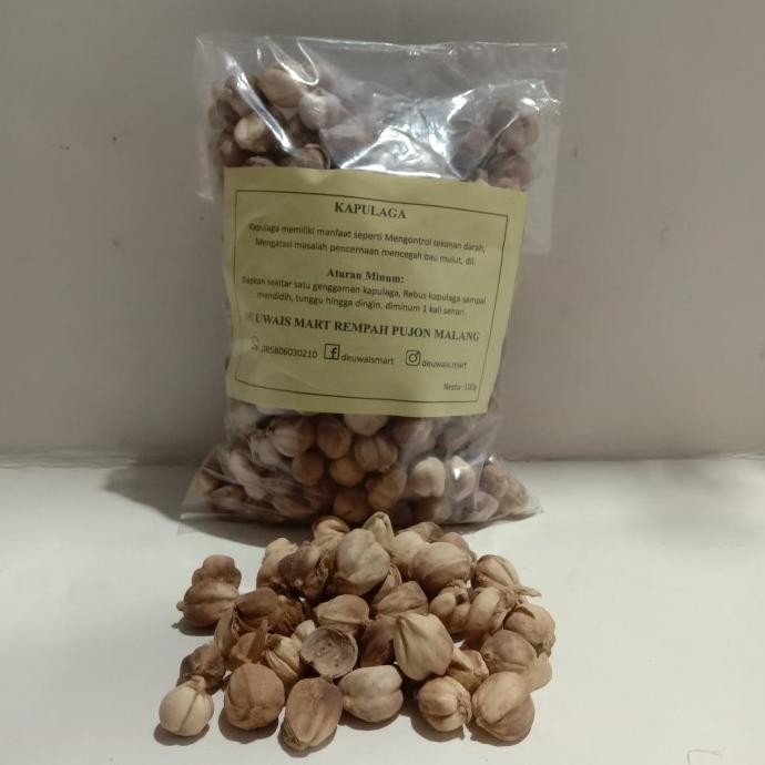 

50gr Kapulaga Jawa / Kapulogo / True Cardamom 100% SUPER PREMIUM