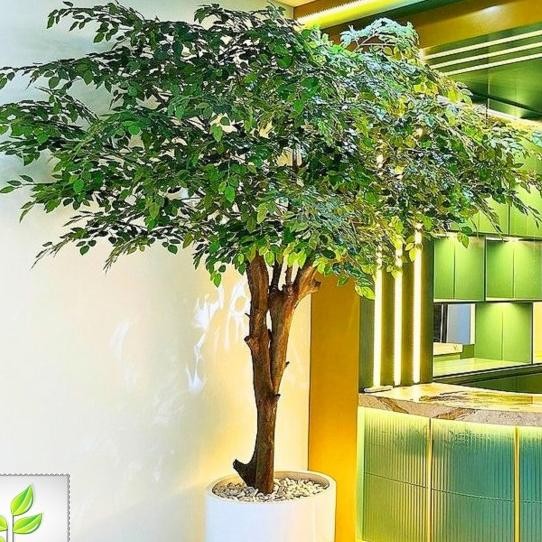 Pohon Beringin Artificial Jumbo - Bonsai Beringin Pohon Dekorasi Bunga