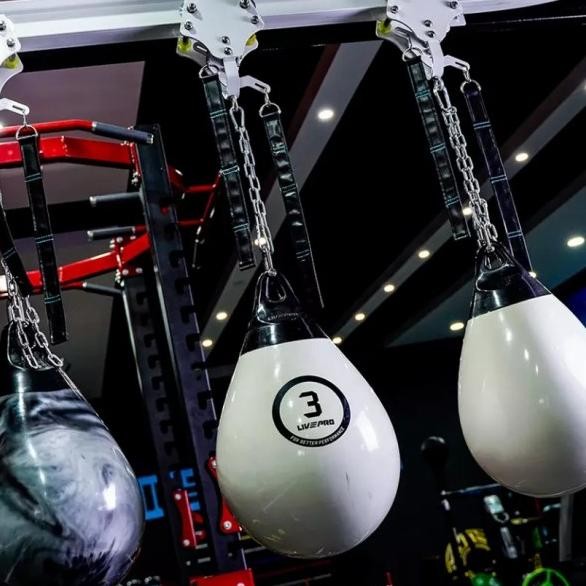 Pro Water Heavy Bag/ Boxing Punch Ball/ Samsak Isi Air