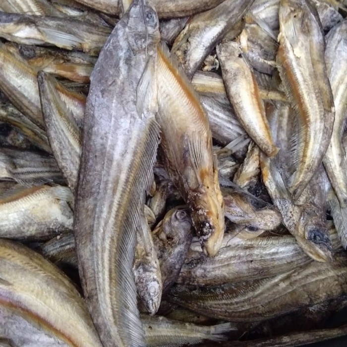 

(500G) Ikan Asin Lais Kalimantan / Ikan Lais Asin-Ikan Asin Tembiring