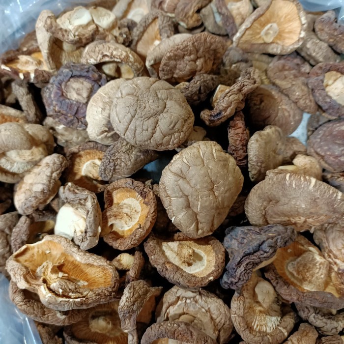 

Jamur Shitake Kering (500G) Hiokou / Hio Kou / Hioko / Dried Mushroom