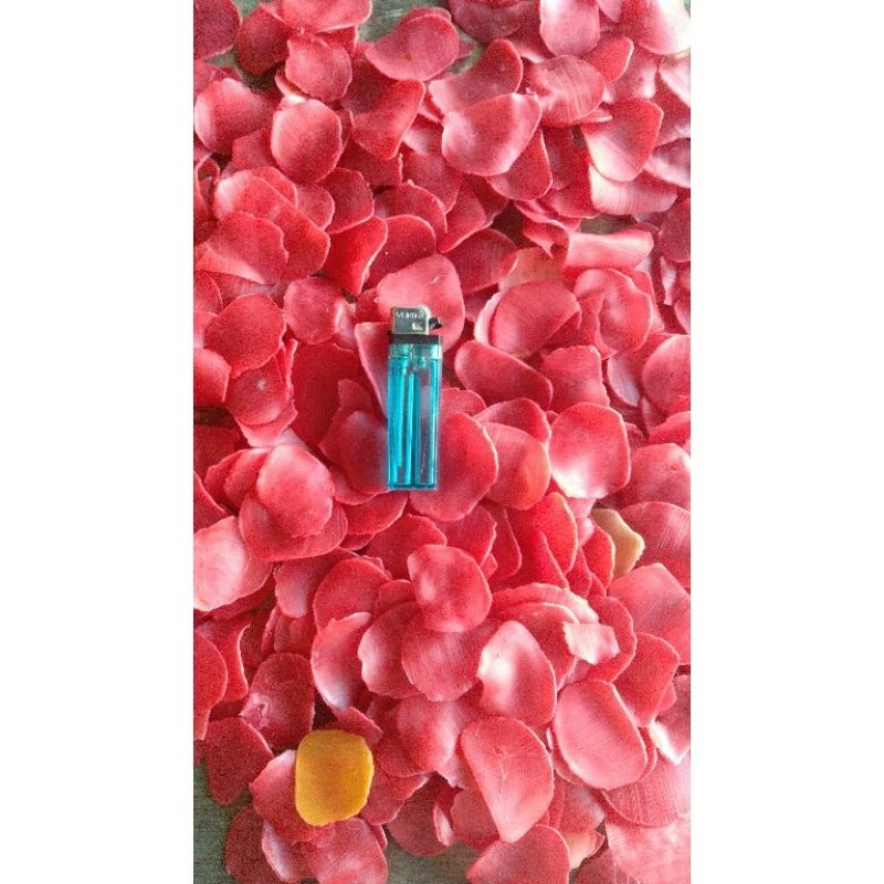 

Kerupuk merah padang 1kg