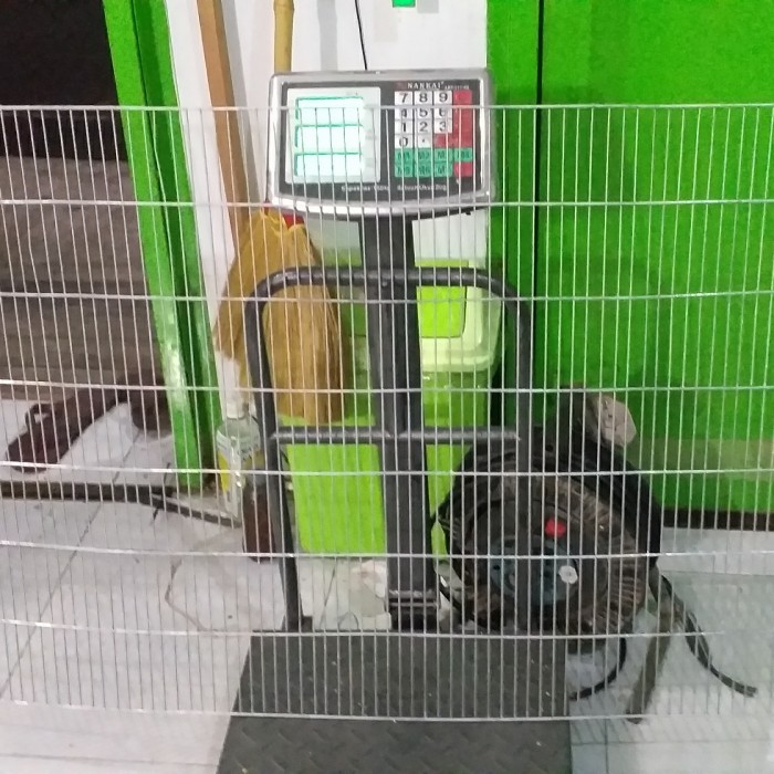 Ram Galvanis Lembaran Terbaru