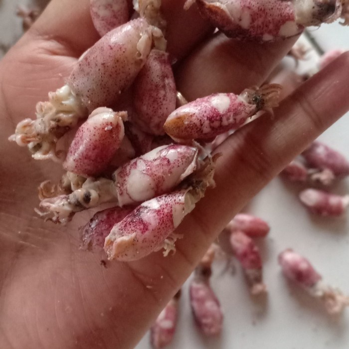 

Baby Cumi Asin Kering Per 1Kg Bestseller Daging