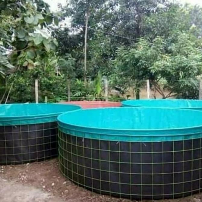 :=:=:=:=] terpal kolam bulat/terpal kolam ikan/terpal kolam lele D5 T1 A12