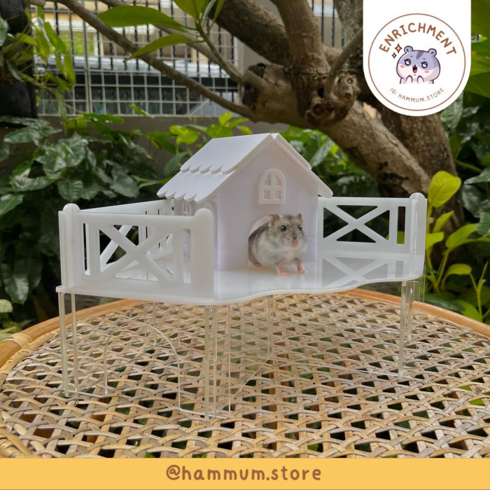 Maze Hamster Platform Hamster Meja Hamster Maze Akrilik Hamster