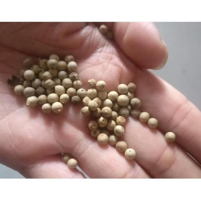 

jen Lada Putih Biji / Whole Pure White Pepper 1 KG
