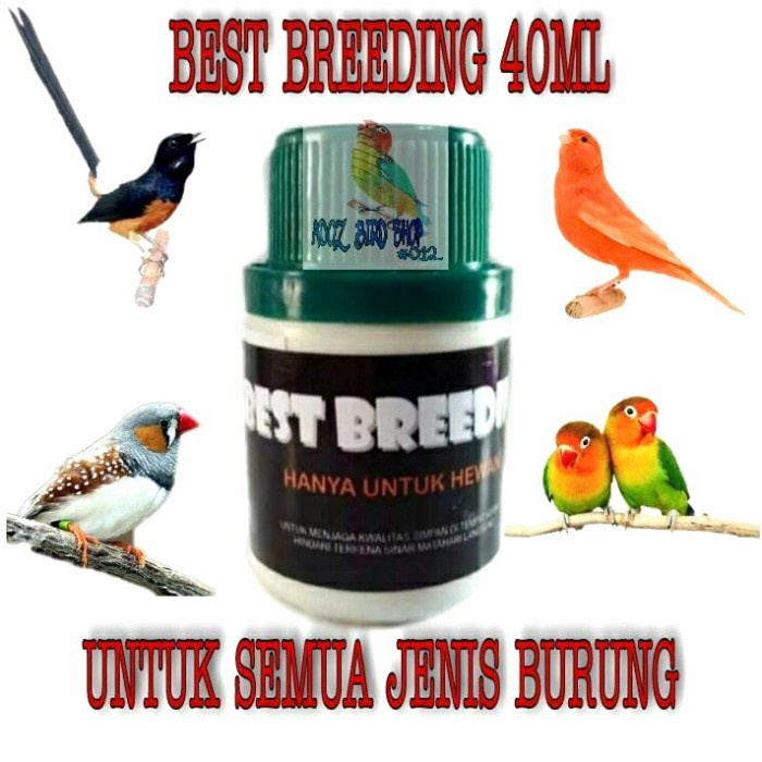 Terlaris Best Breeding