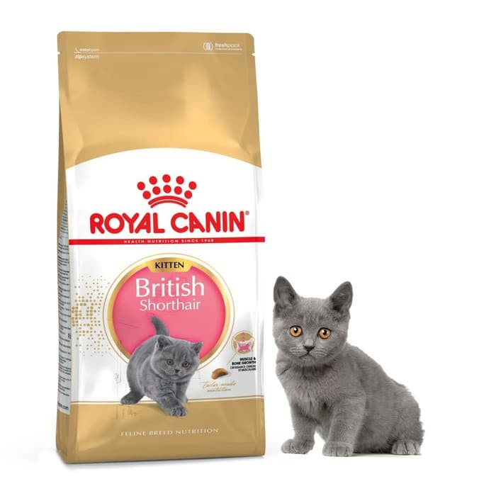 Royal Canin Kitten British Shorthair 2kg Makanan kucing