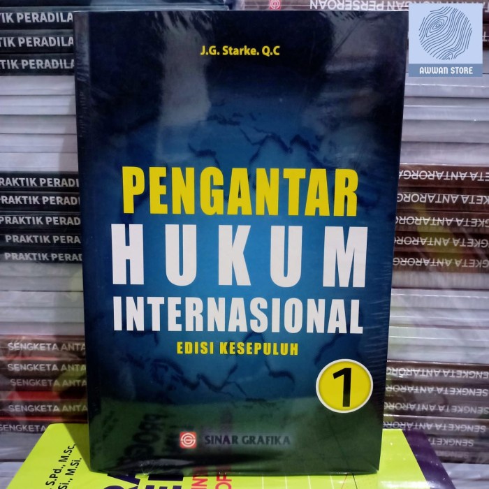 

Pengantar Hukum Internasional Edisi 10 Jilid 1 - J.G. Starke. Q.C