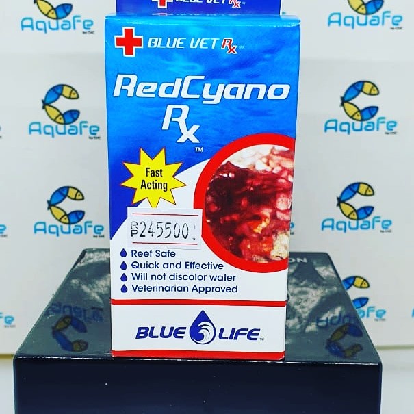 Blue life red cyano rx blue life cyano rx