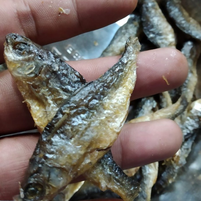 

Ikan Danau Bilih Besar (1Kg) Bestseller Daging