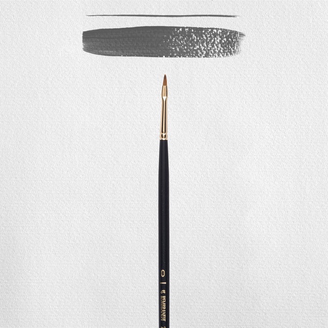 

Rembrandt Oil/Acrylic Brush Series 240 Bestseller Paint