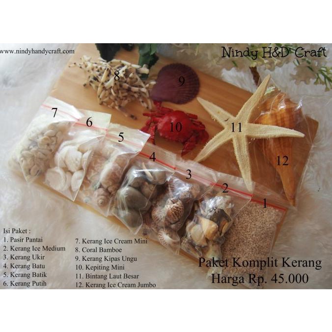 

favorit] Paket Kerang 1 set Murah - Paket Kerajinan Tangan Kerang