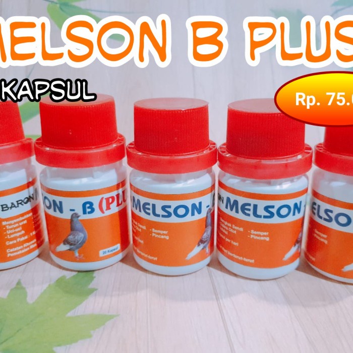 Terlaris Melson B Plus Baron Obat Merpati