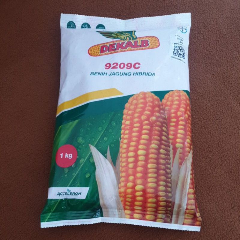 

Binih jagung hibrida DEKALB 9209C