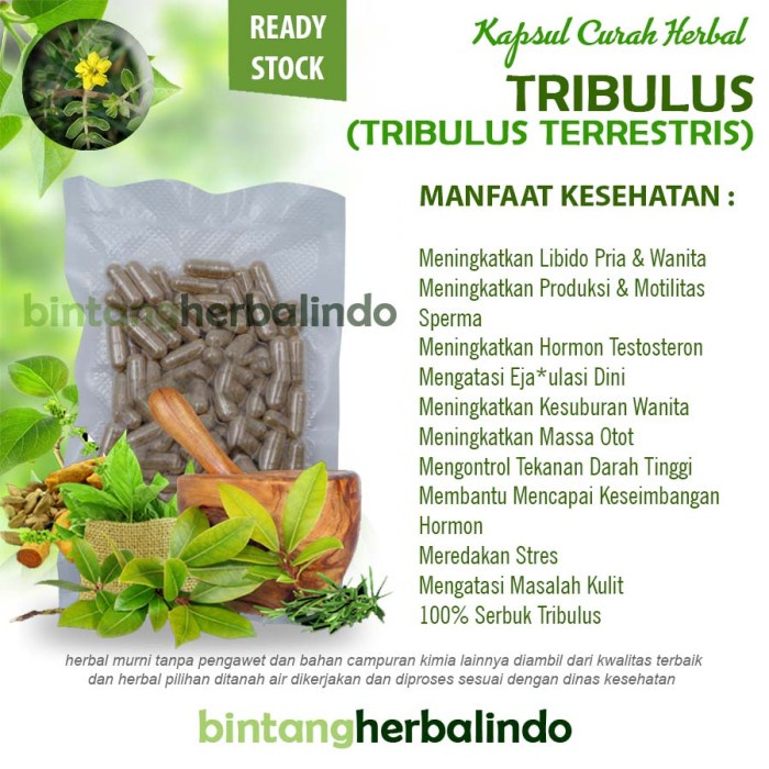 Terlaris TRIBULUS TERRESTRIS 100 Kapsul Herbal Testosteron Libido Booster EDI SALE