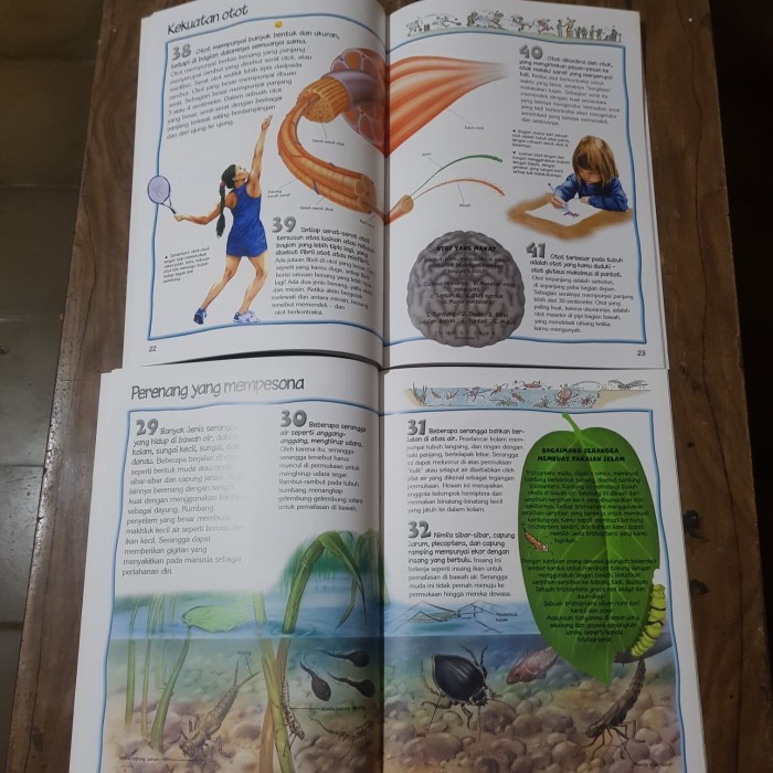 DISKON SPESIAL BUKU ANAK 100 PENGETAHUAN TENTANG TERBARU