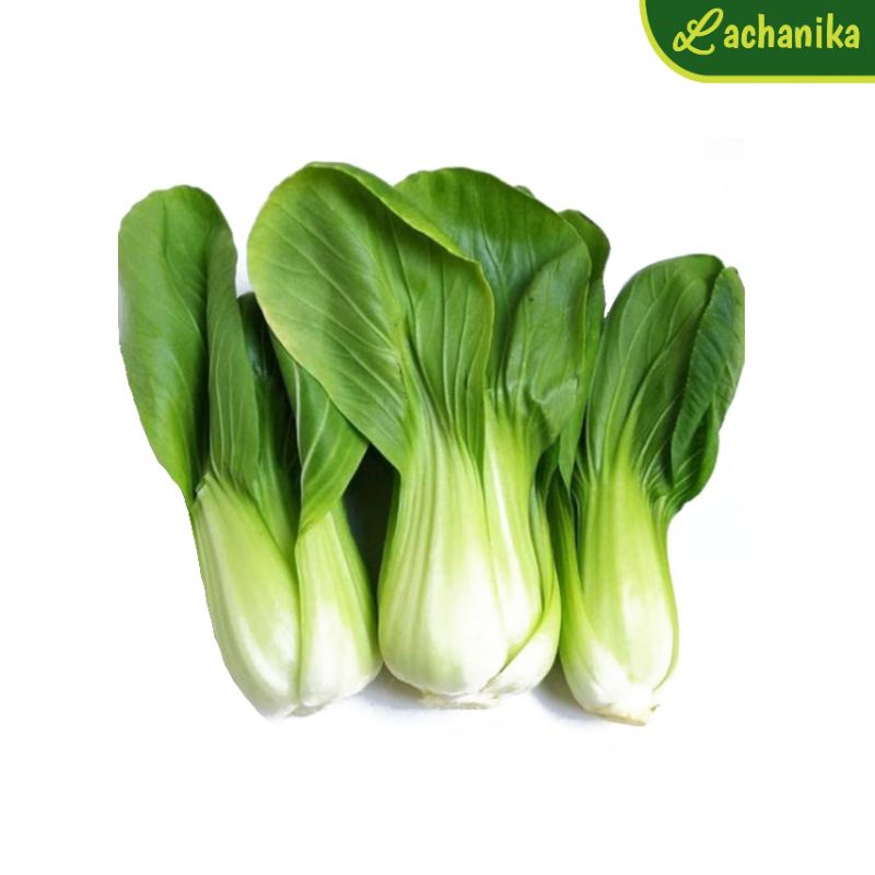 

Sayur Pakcoy / Bokchoy 500g