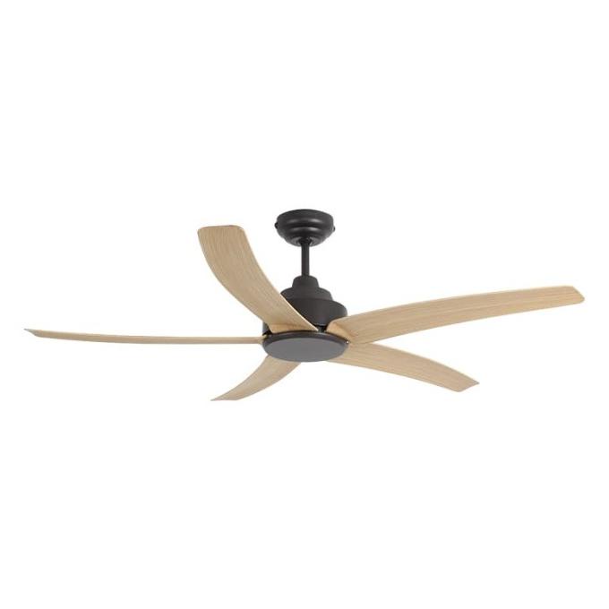 Ceiling Fan Mt Edma Cyclone 54 Inch Remote Ok