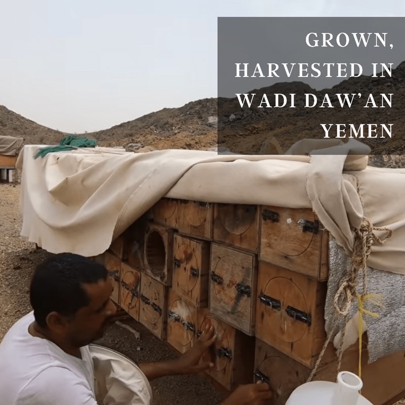 

1kg Madu Yaman Sidr Baghiyah Madu Marai/Marai Madu Sumroh/Sumra Premium High Quality Yemeni Honey