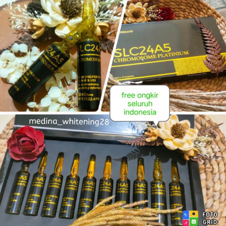 Discount Today SLC24A5 chromosome PLATINUM choromosom slc24a5 grosir