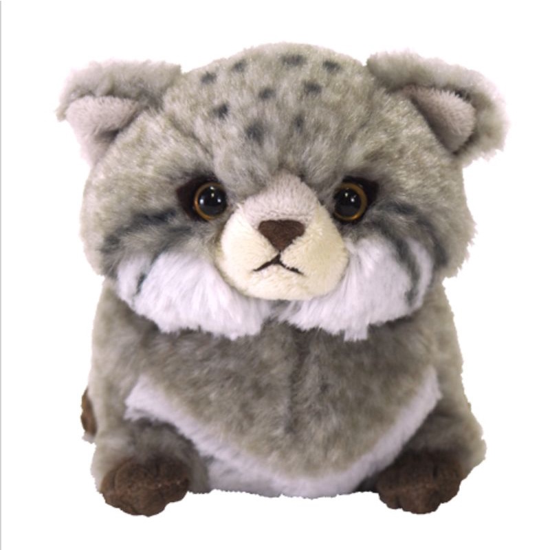 Boneka Kucing Pallas Sunlemon