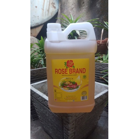 Minyak goreng premium kemasan jerigen 5 liter