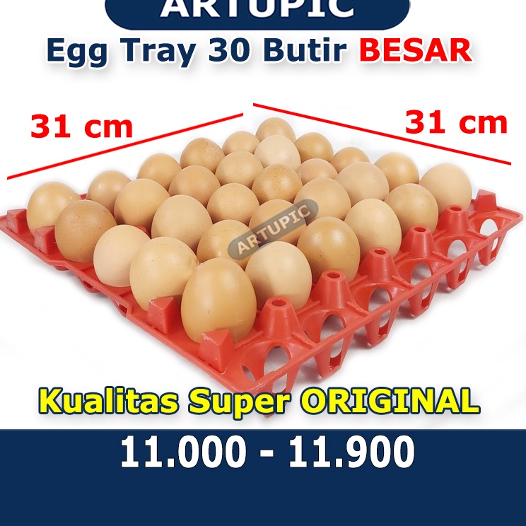 ➣✷✮ Egg tray ayam bebek 30 butir nampan tempat telur ayam bebek petelur plastik Best